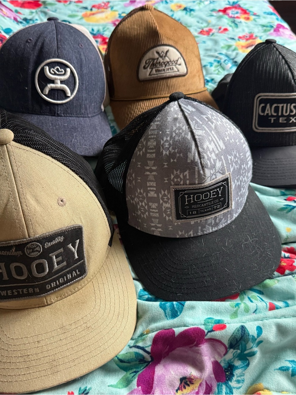 Hooey Trucker Hat Pack - Tan, Gray, Black, Navy
